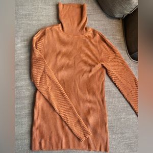 Everlane Turtleneck Sweater